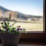 Bogowka 11 Apartment Zakopane