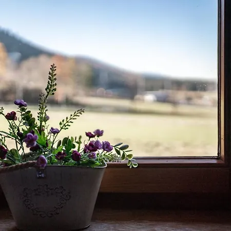 Bogowka 11 Apartman Zakopane