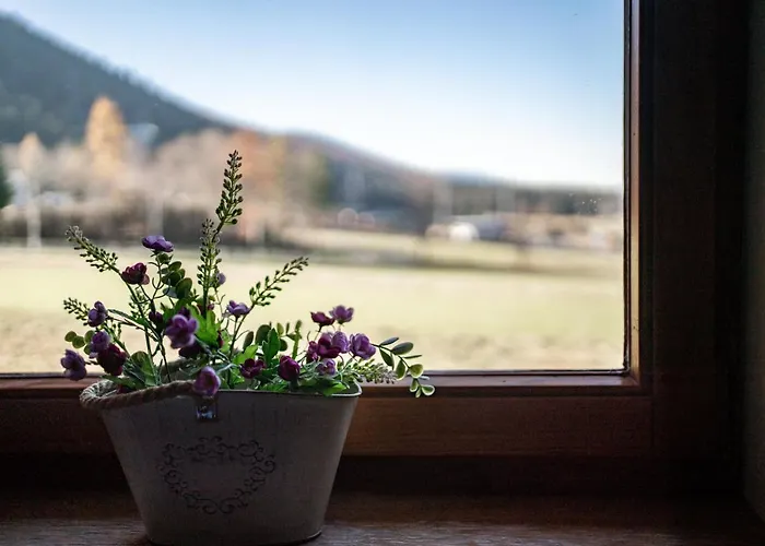 Bogówka 11 Apartamento Zakopane